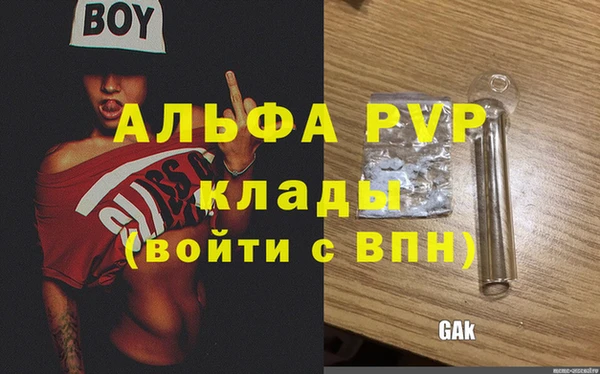 СК Надым