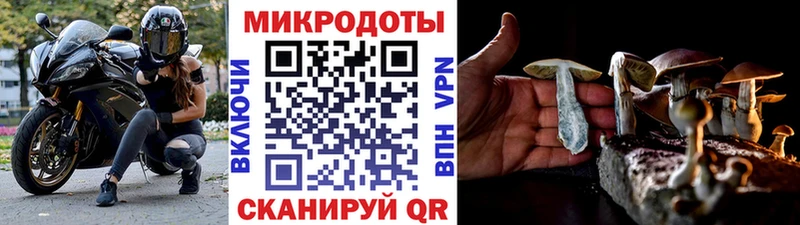 Галлюциногенные грибы Psilocybe  Чистополь 