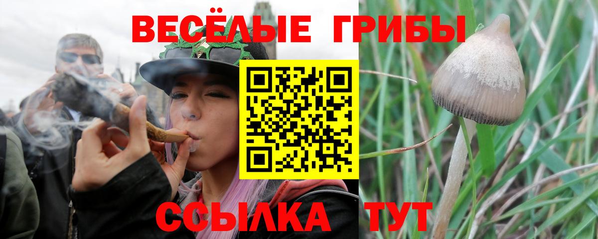 Галлюциногенные грибы прущие грибы Чистополь